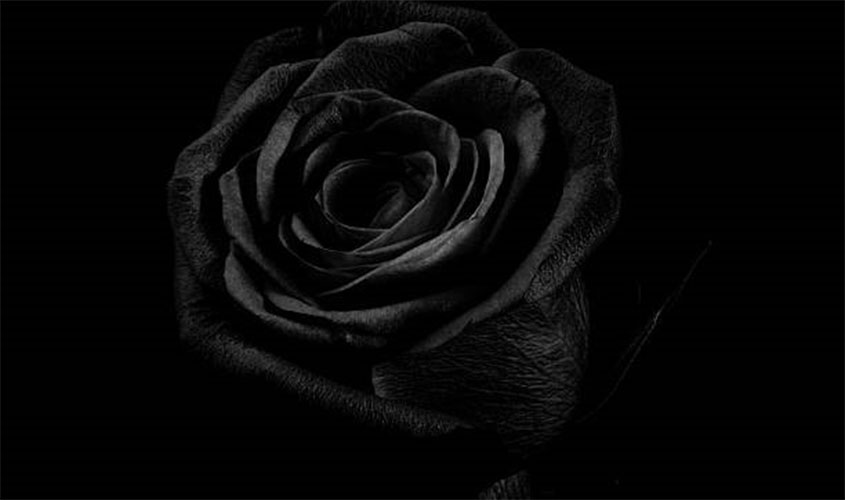 Nota de Pesar - Superintendente Basa