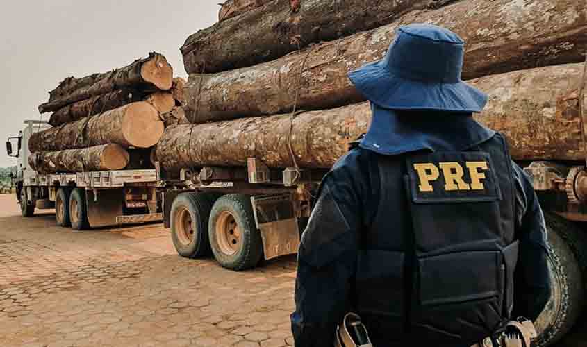 Aproximadamente 130 m³ de madeira foram apreendidos em 5 dias