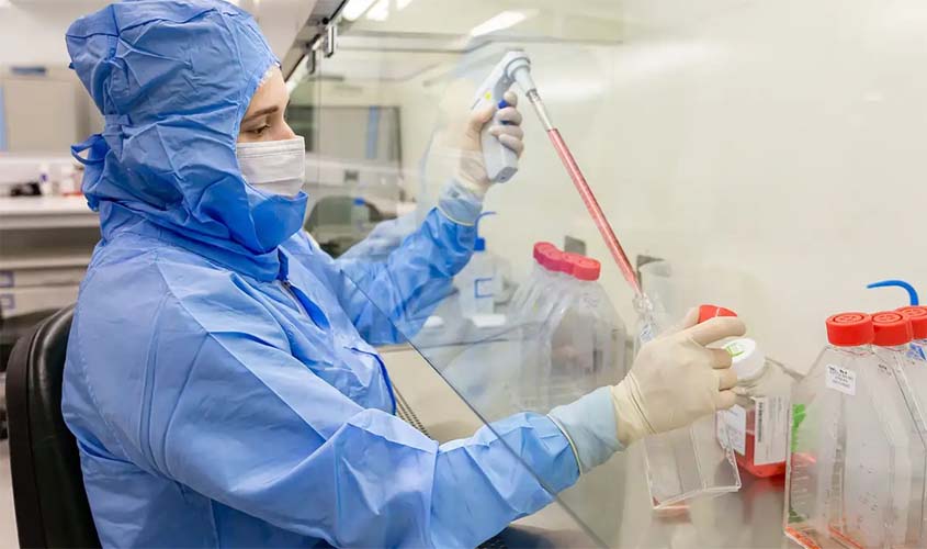 Estudo testa células-tronco em transplante de medula