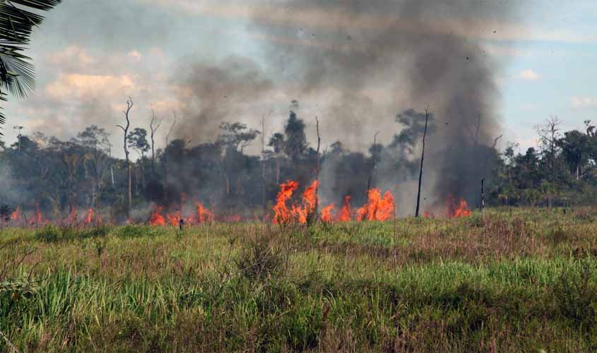 Sedam alerta sobre riscos de queimadas e como proceder em caso de denúncias; julho a outubro é considerado o período mais crítico em RO