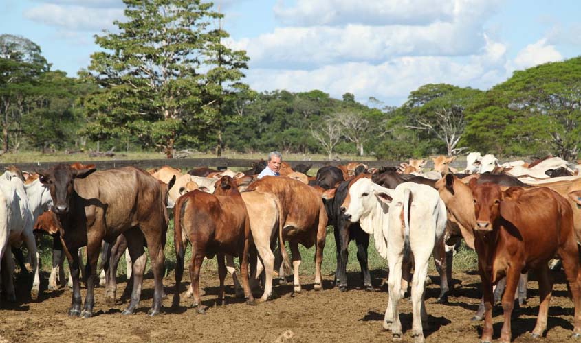 O desenvolvimento do agronegócio na região Norte de Rondônia é uma realidade