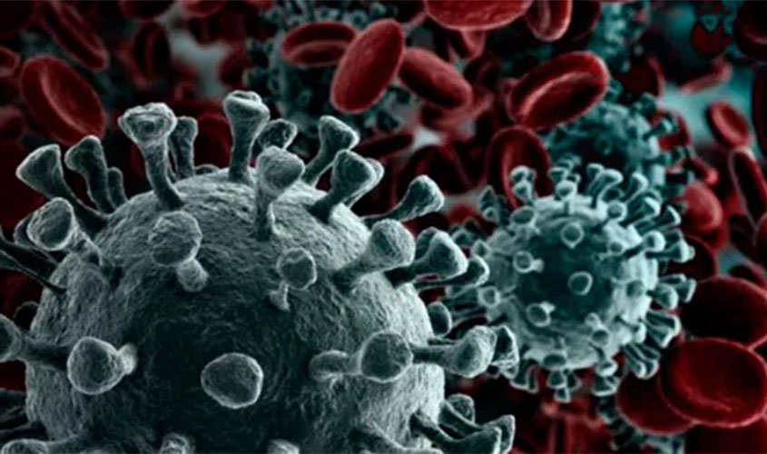 Covid-19: Rondônia com 35.573 casos e 810 mortes; Porto Velho tem 20.569 infectados