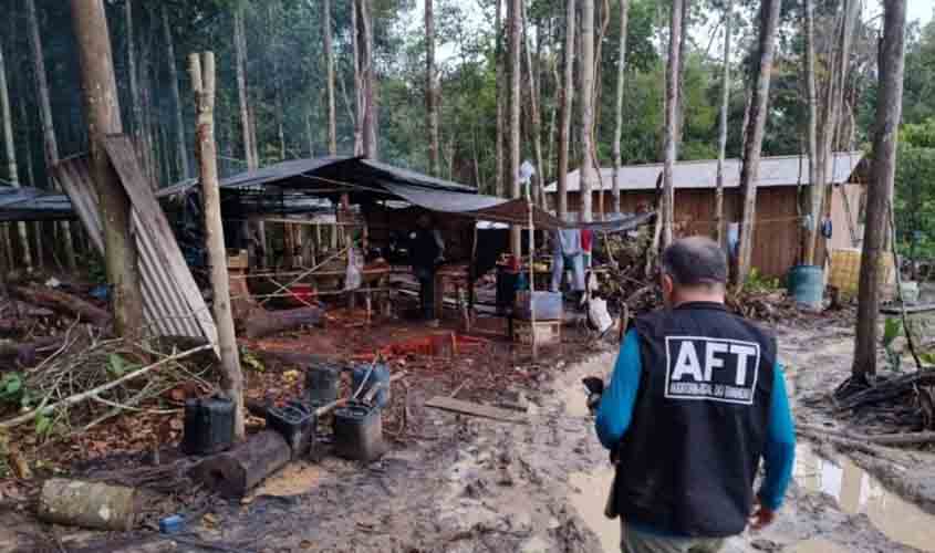 Fiscalização por crimes ambientais cai com paralisação dos servidores e impacta municípios mais desmatados na Amazônia em 2024 