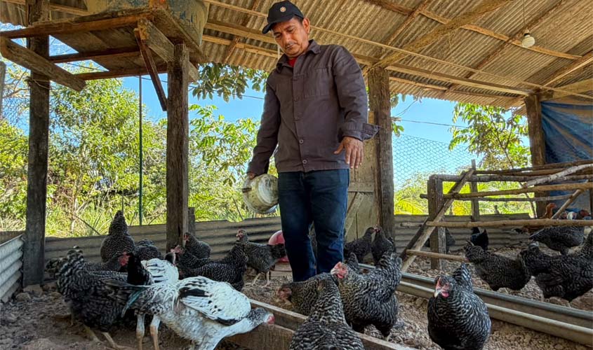 Agricultura familiar fortalece economia de Porto Velho