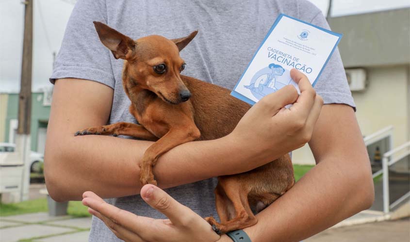 Jaci-Paraná promove vacinação antirrábica de pets