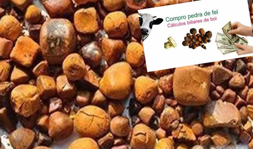 Pedra fel: mais uma riqueza rondoniense e brasileira que é levada pelo contrabando