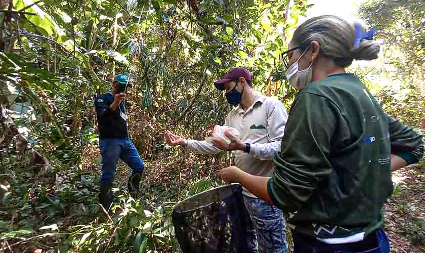 Programa que monitora biodiversidade em unidades de conservação é realizado em parque estadual de Rondônia