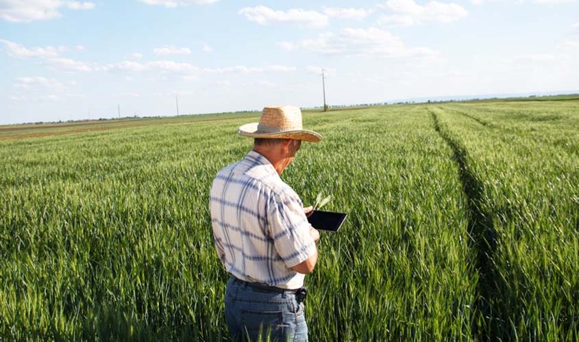 Tecnologia é importante aliado para realização de eventos em tempo de isolamento 