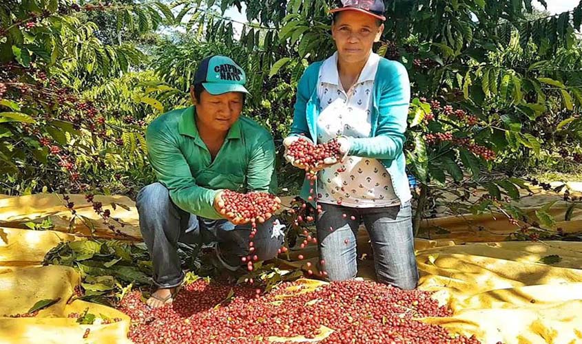 Cafeicultores de Rondônia participam de concurso de qualidade do café em Minas Gerais