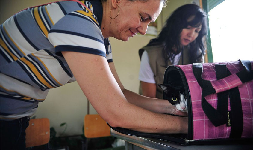 Pesquisa investiga transmissão de covid-19 entre homens e animais