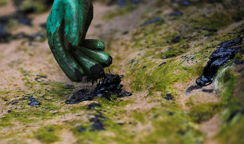 Amostras de óleo de três municípios do Rio são enviadas para análise