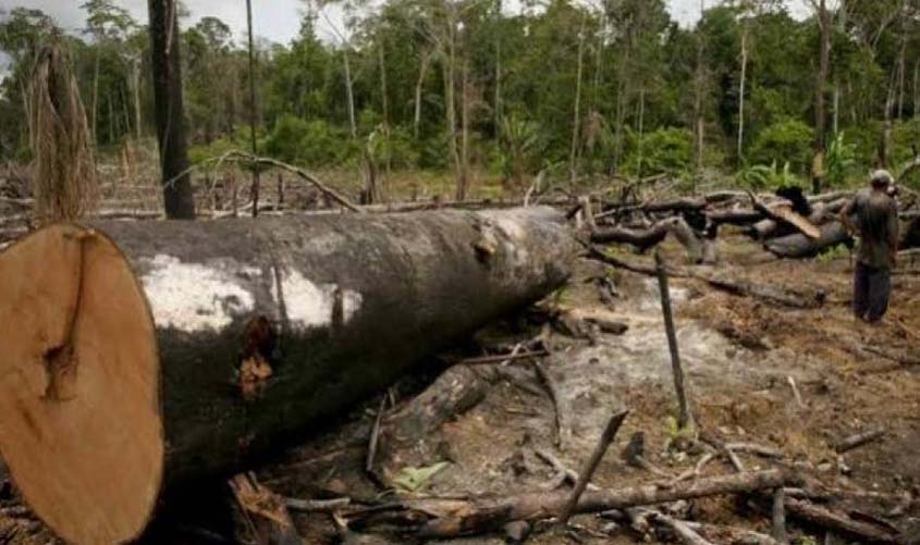 Invasores ocupam fazenda, desmatam área e ameaçam funcionário: se voltar ao local, será recebido a bala