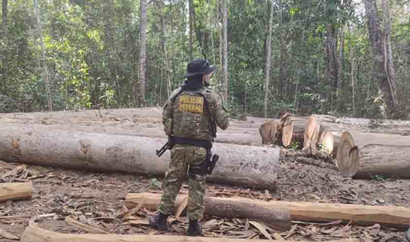 PF deflagra operação contra crimes em Terra Indígena, bloqueia milhões em bens e prende empresário