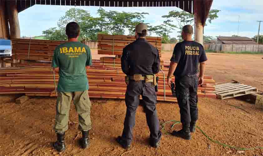 Polícia Federal deflagra operação contra extração irregular de madeira da Floresta Amazônica
