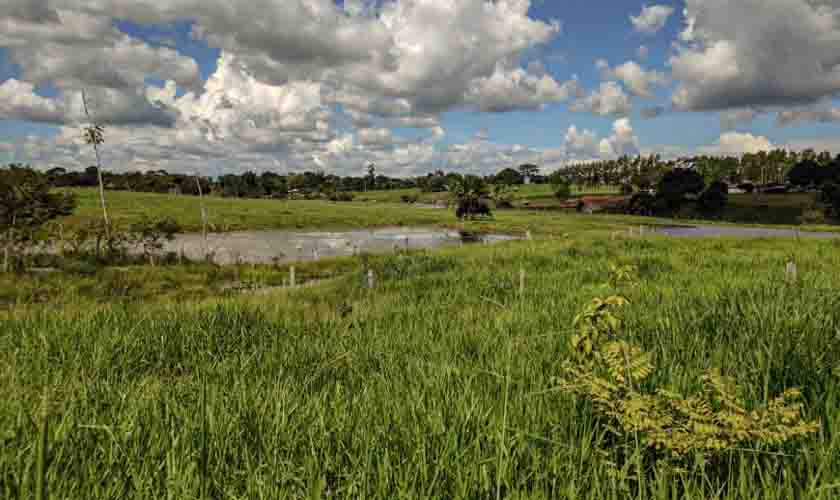 Recuperação de nascentes é monitorada pela Sedam no município