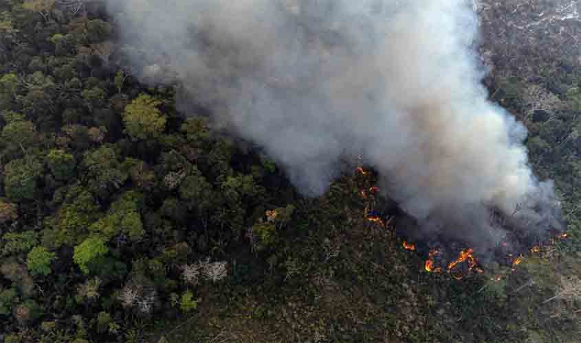 Dados de desmatamento e focos de calor na BR-319 mostram cenário complexo, com desafios e oportunidades de ação do poder público, aponta estudo