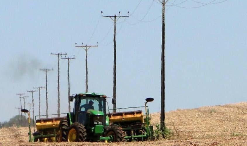 80% das mortes com rede elétrica em RO ocorrem na zona rural