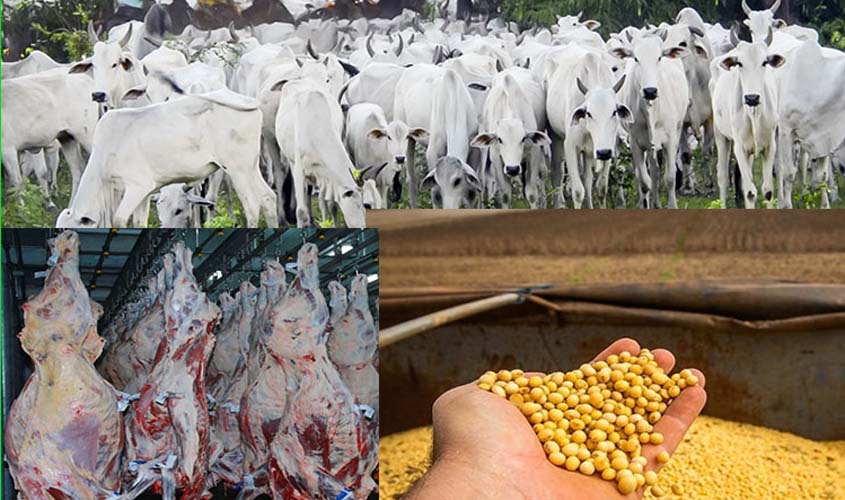 AGRONEGÓCIO SE FORTALECE EM RONDÔNIA E SE NÃO FOR PREJUDICADO POR POLÍTICAS NEFASTAS, CRESCERÁ AINDA MAIS