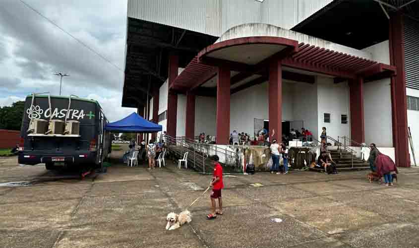 Projeto Castra+Rondônia realiza castrações gratuitas no Ginásio Cláudio Coutinho em Porto Velho