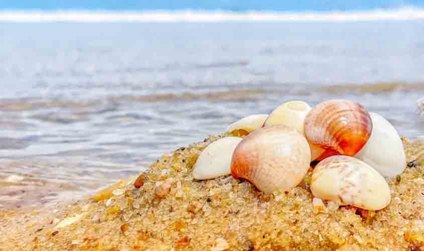 Interesse por viagens para a praia cresce 25% em Rondônia, aponta pesquisa