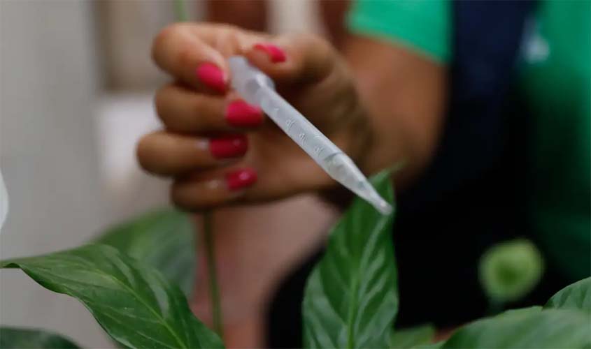 Dengue: Ministério da Saúde vai distribuir vacinas para mais 625 municípios