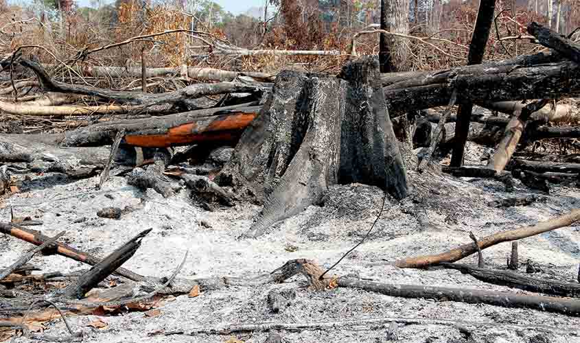 Sedam destaca atuação do Estado em prol do combate a queimadas ilegais e focos de incêndio