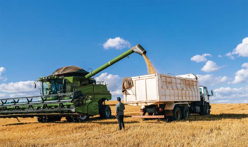 Sicredi lança linha de crédito rural em dólar em parceria com o BNDES