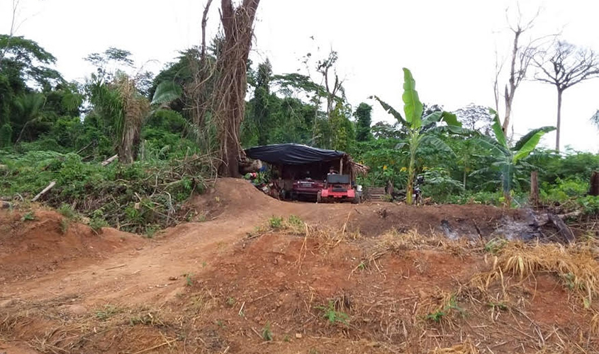 Incra e órgãos de fiscalização combatem invasão na reserva do PA Padre Ezequiel