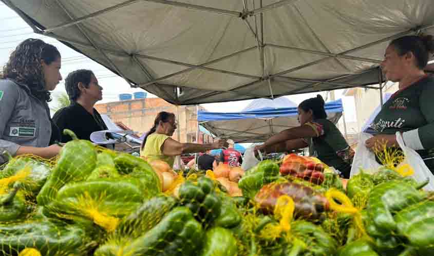 Programas de aquisição de alimentos garantem renda a centenas de agricultores familiares