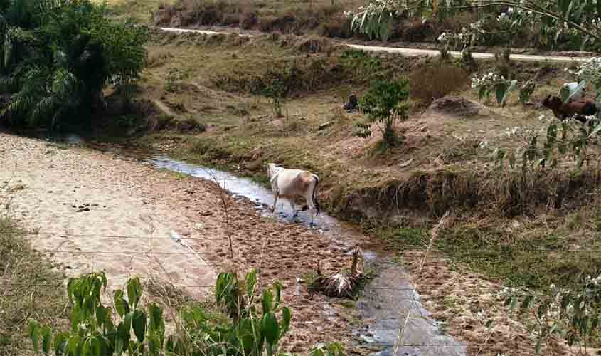 Soluções práticas para o trabalho no campo são destacadas para conservação de água durante estiagem