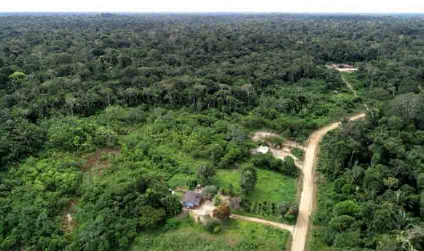 Desenvolvimento sustentável é fortalecido por rondonistas em áreas de selva amazônica, em Rondônia