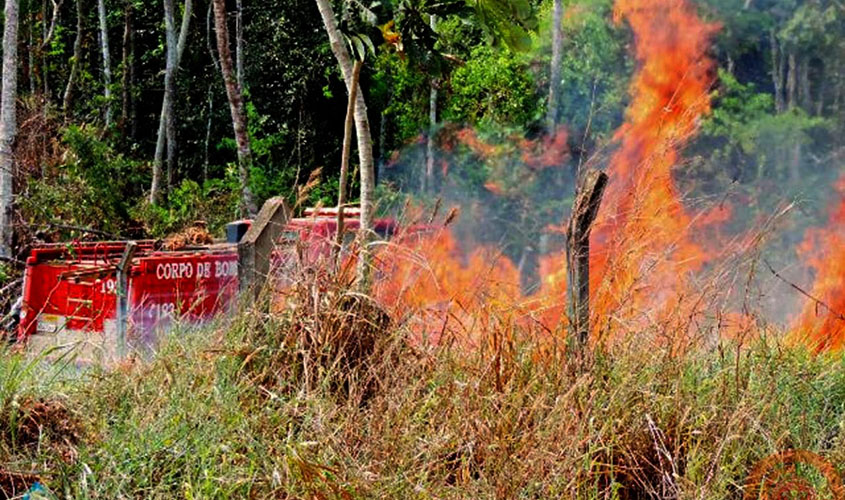 Rondônia inicia operação Jequitibá em ação integrada com Exército e fecha cerco contra incêndios criminosos