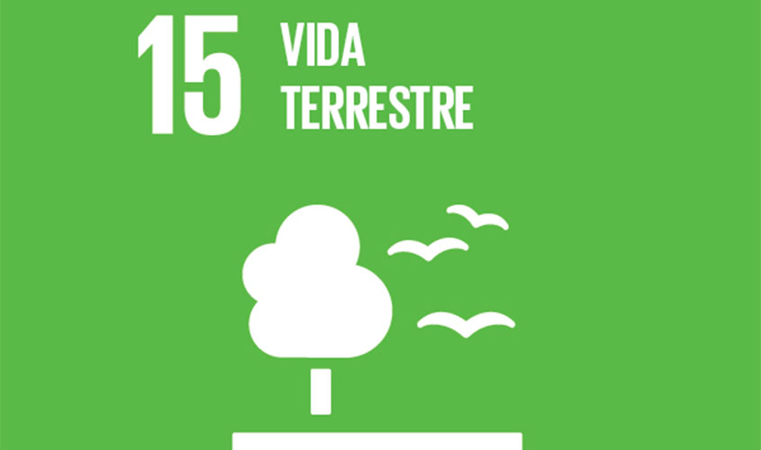 Monitora 15 integra decisões judiciais para preservação ambiental