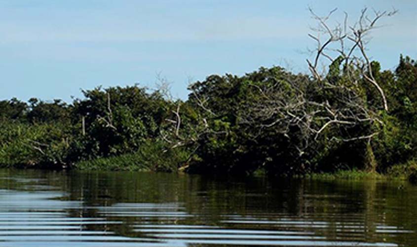STF reafirma que danos ao meio ambiente são imprescritíveis