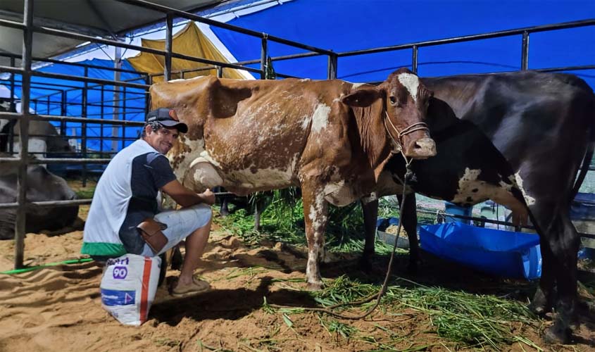 Governo de RO apoia pecuária leiteira com incentivos