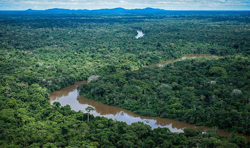 Governo recua na decisão de interromper ação de brigadistas no Pantanal e na Amazônia  