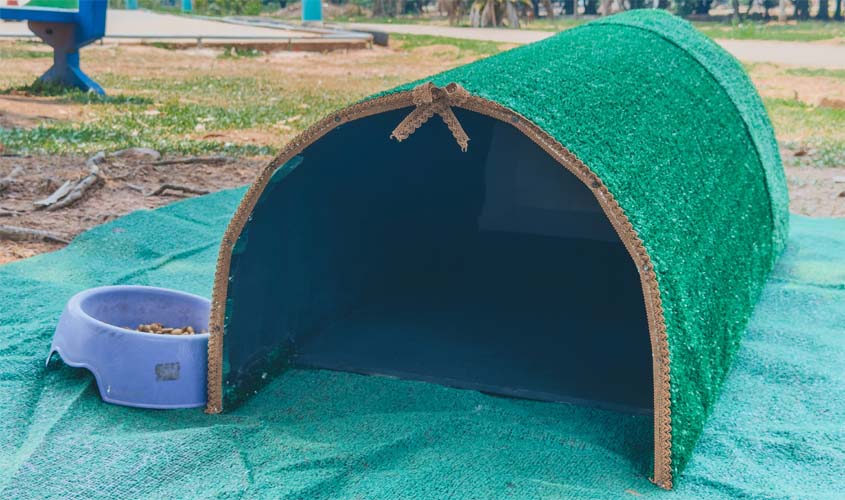 Prefeitura instala abrigos para gatos em espaços públicos