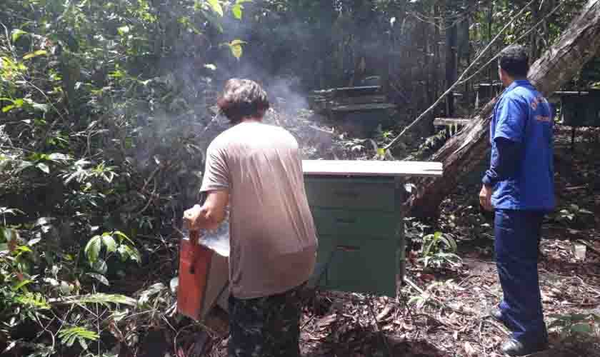 Técnicos da Idaron inspecionam área apícola para prevenção do besouro das colmeia