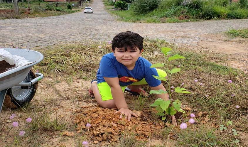 Programa de arborização atende áreas com espaços esportivos