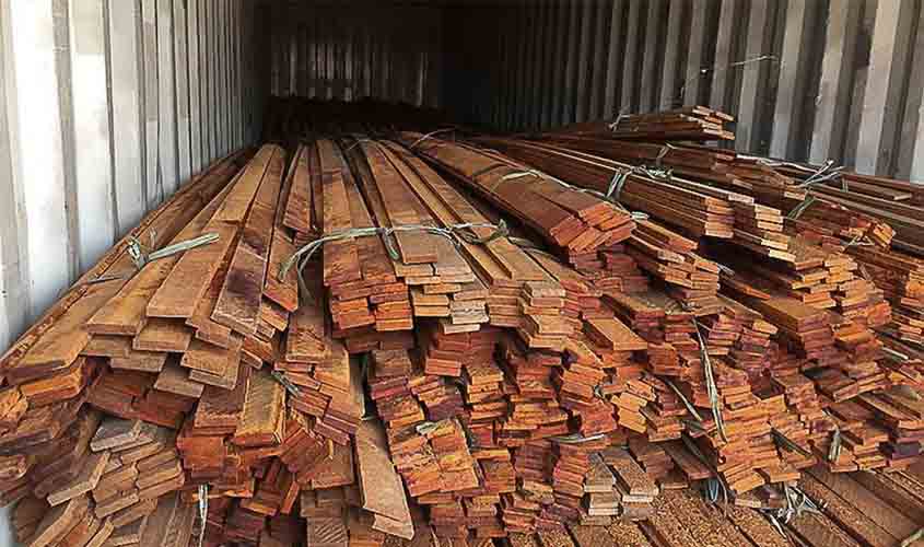 Operação da PF combate desmatamento ilegal na Floresta Amazônica