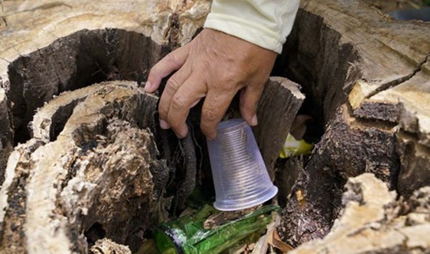 Brasil registra 12 mortes por dengue em três semanas