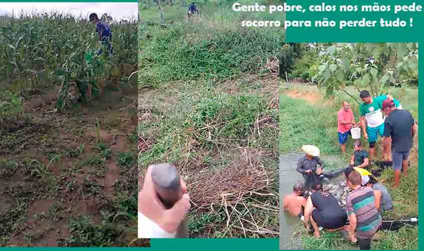 MÃOS CALEJADAS, VIVENDO NO DESESPERO E NO MEDO: É ESTA A SITUAÇÃO DAS MIL FAMÍLIAS NA RESEX JACY PARANÁ