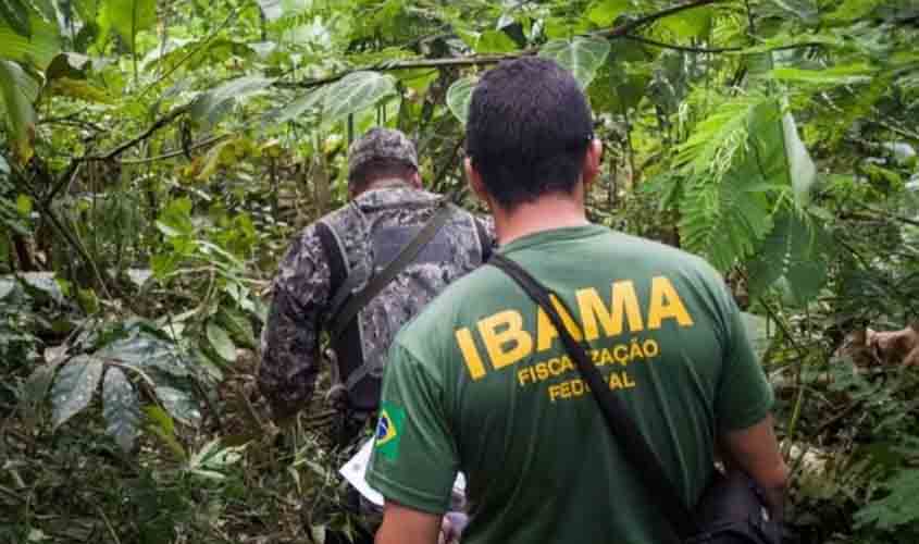 Edital de abertura do concurso público do Ibama é publicado com 460 vagas