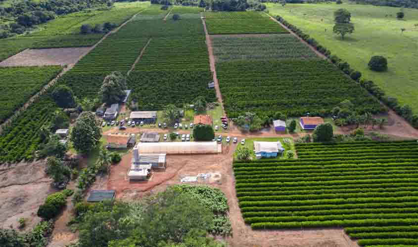 Crescimento da cafeicultura em Rondônia impulsiona visitas à Rota Turística do Café