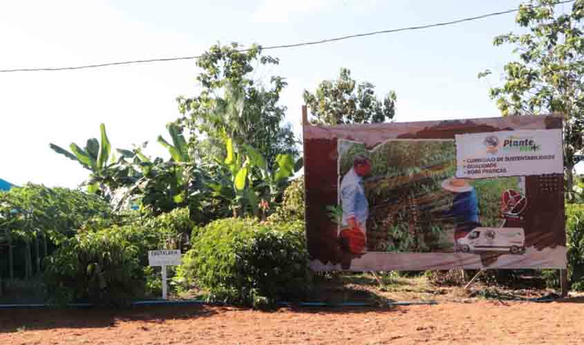 Assistência técnica e tecnologia transformam a realidade da agricultura familiar de Rondônia