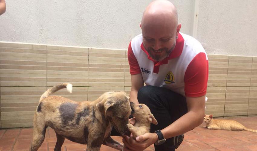 Vereador Aleks Palitot apresenta Projetos de Lei voltados à causa animal