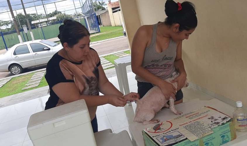 Ação de vacinação no Bairro Novo imuniza mais de 600 animais contra a raiva