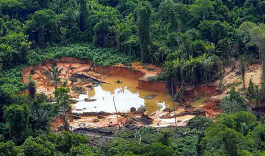 MPF recomenda ao ICMBio registro detalhado de infrações em operações no Amazonas e em Rondônia