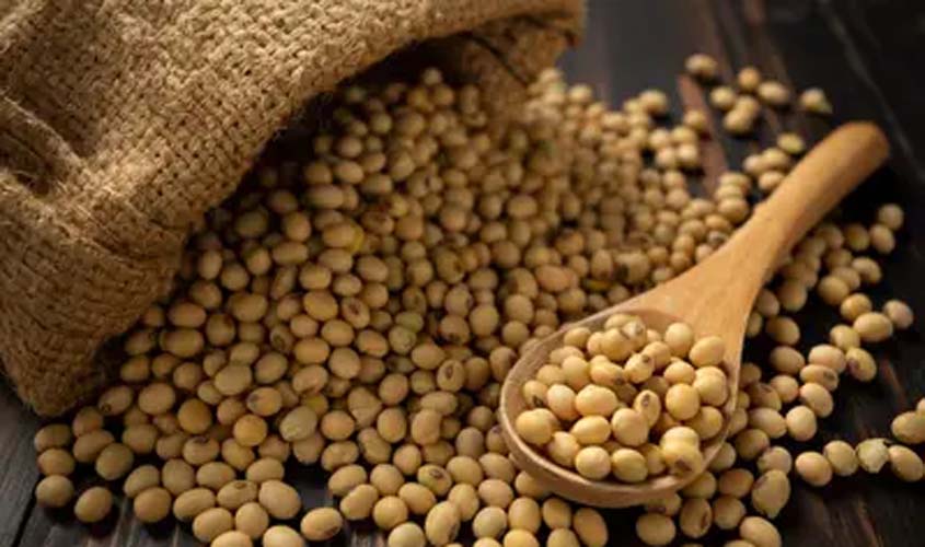 Soja e trigo hoje: confira as cotações para esta sexta-feira (27)