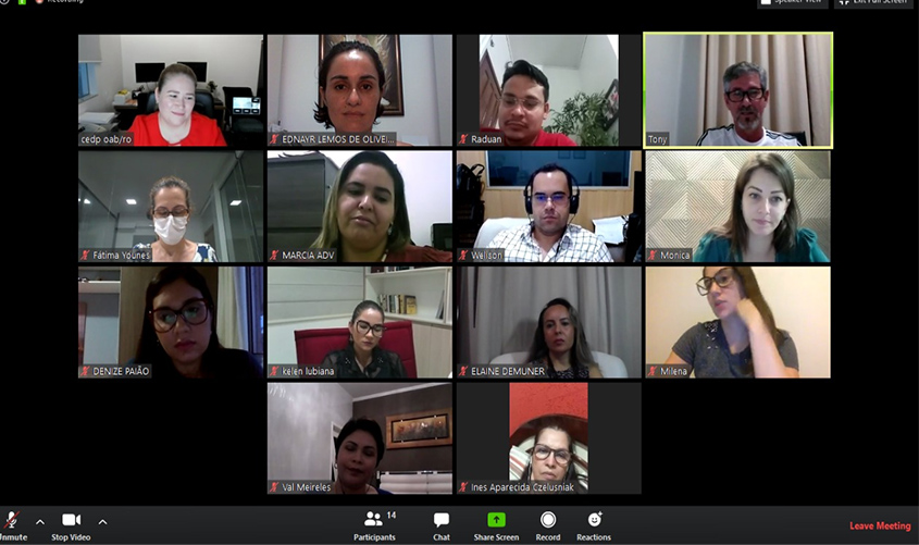 Comissão de Direito Previdenciário debate temas de interesse da categoria em reunião ordinária virtual